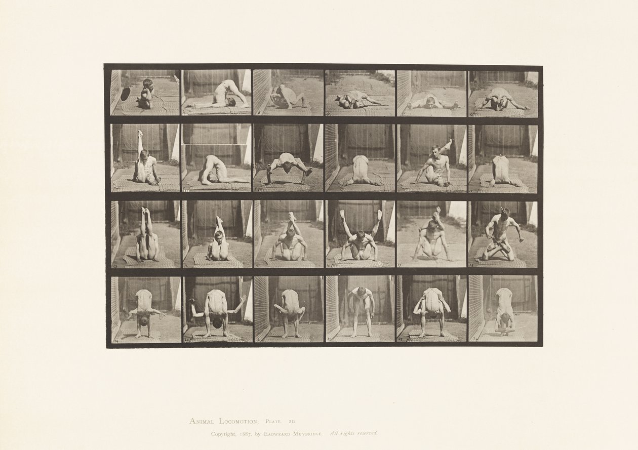 Plåt 511. Vridningar på marken av Eadweard Muybridge