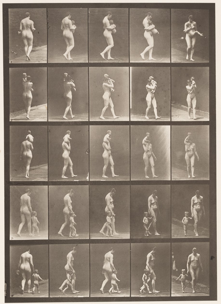 Plåt 528. A,B,C av Eadweard Muybridge