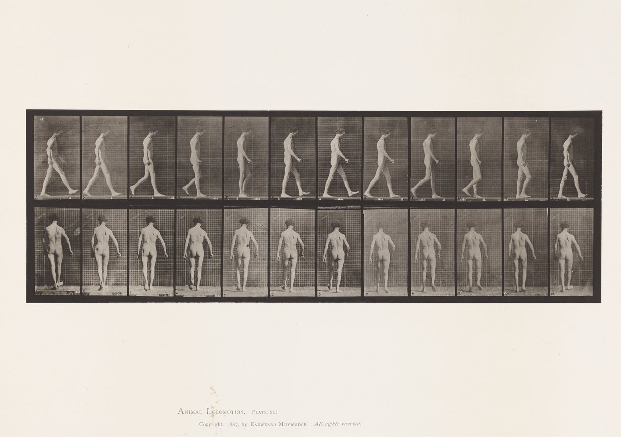 Platta 546.Locomotor Ataxi; Vandring, 1885 av Eadweard Muybridge