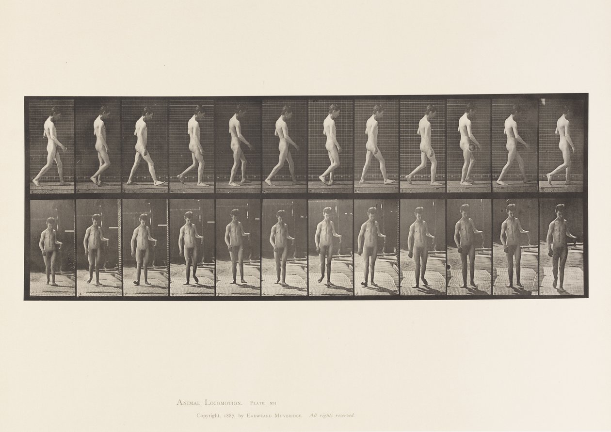 Plåt 551.Epilepsi; Vandring, 1885 av Eadweard Muybridge