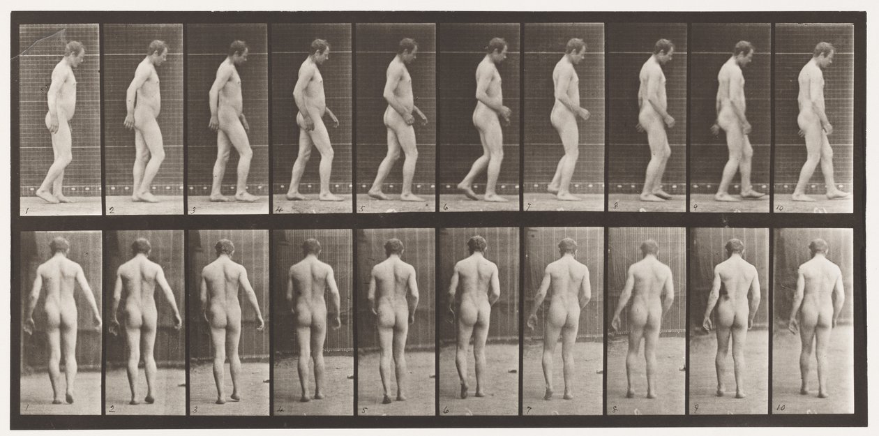 Plåt 553. Efter traumatism av huvudet; Vandring, 1885 av Eadweard Muybridge