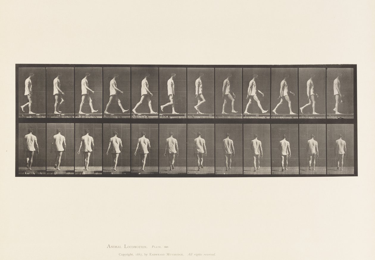 Platta 560.Locomotor Ataxi; Vandring, 1885 av Eadweard Muybridge