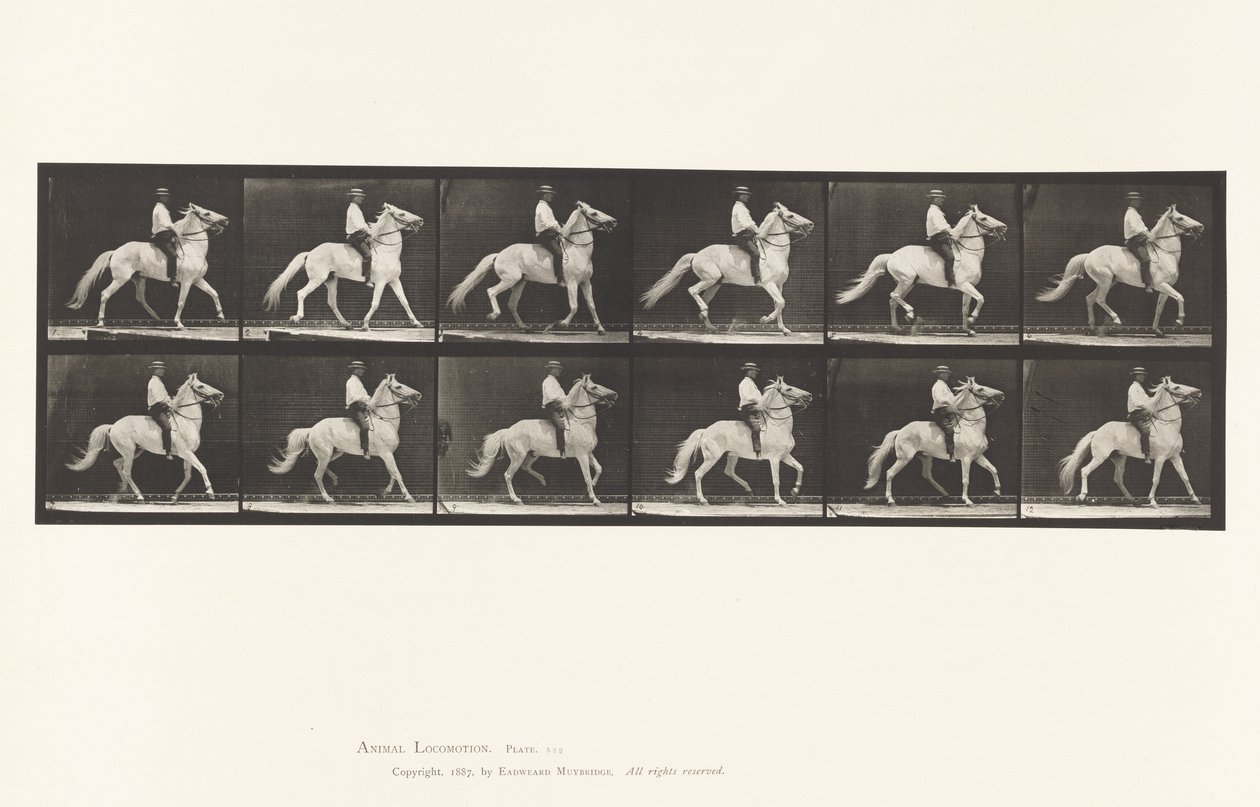 Plåt 589.Ambling av Eadweard Muybridge