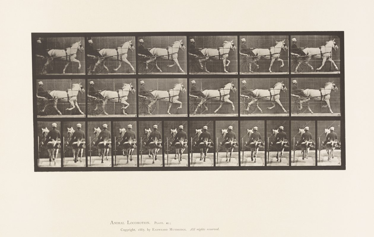 Tallrik 611. Trav; Sulky; Grey Mare, Katydid av Eadweard Muybridge