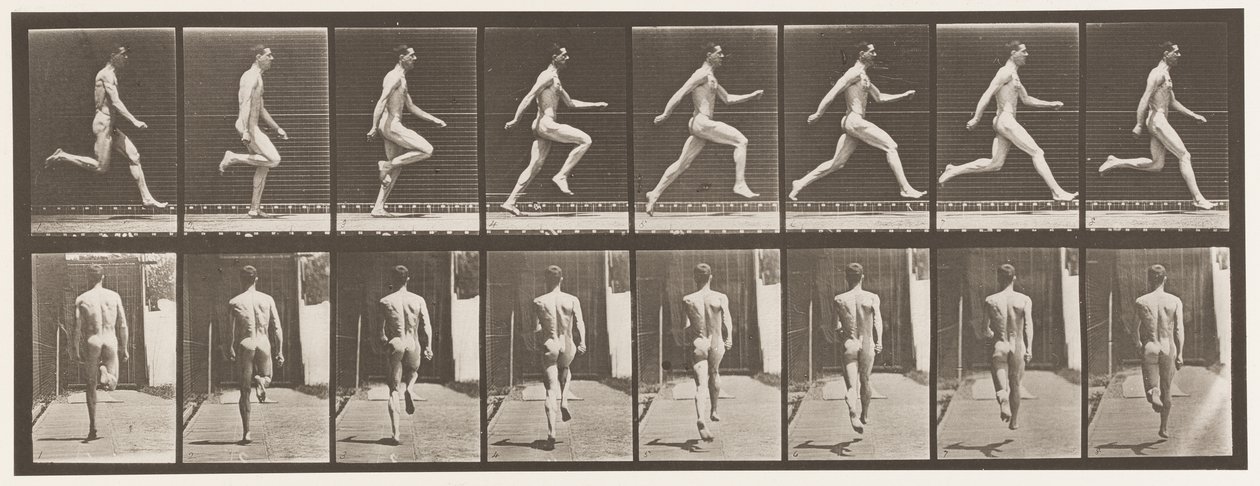 Plåt 65. Running at full speed., 1872-1885 av Eadweard Muybridge