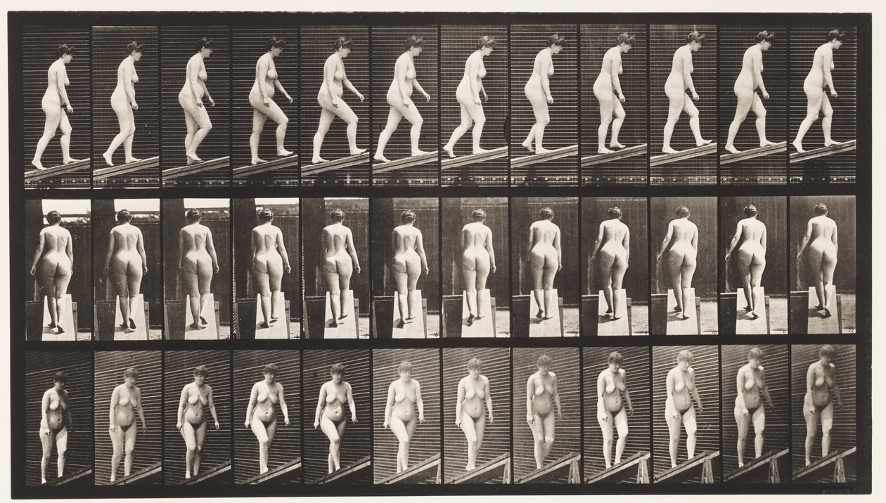 Plåt 77. Stigande lutning av Eadweard Muybridge