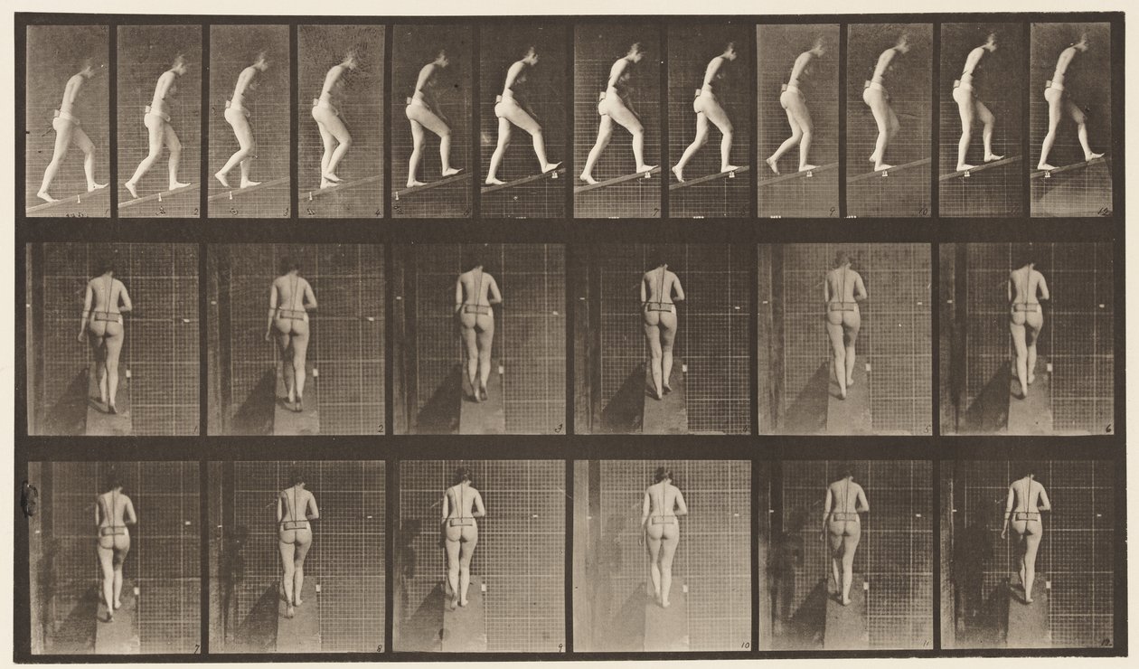 Plåt 79. Stigande lutning av Eadweard Muybridge