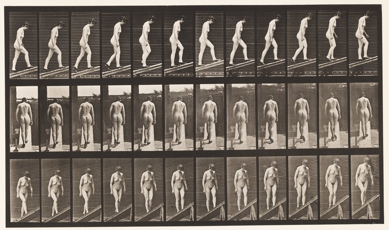 Plåt 85. Stigande lutning av Eadweard Muybridge