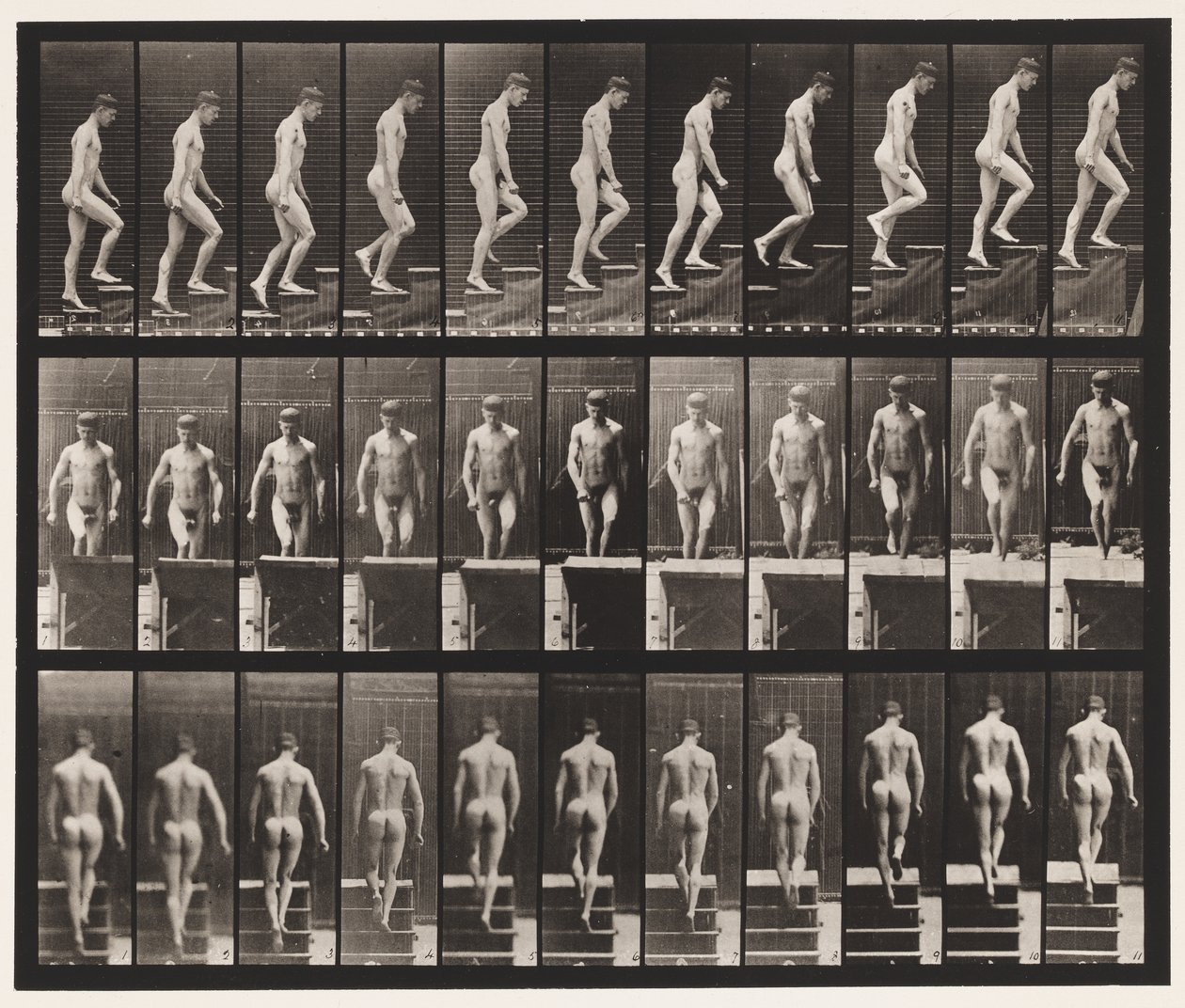 Plåt 88. Uppstigande trappor, 1872-1885 av Eadweard Muybridge