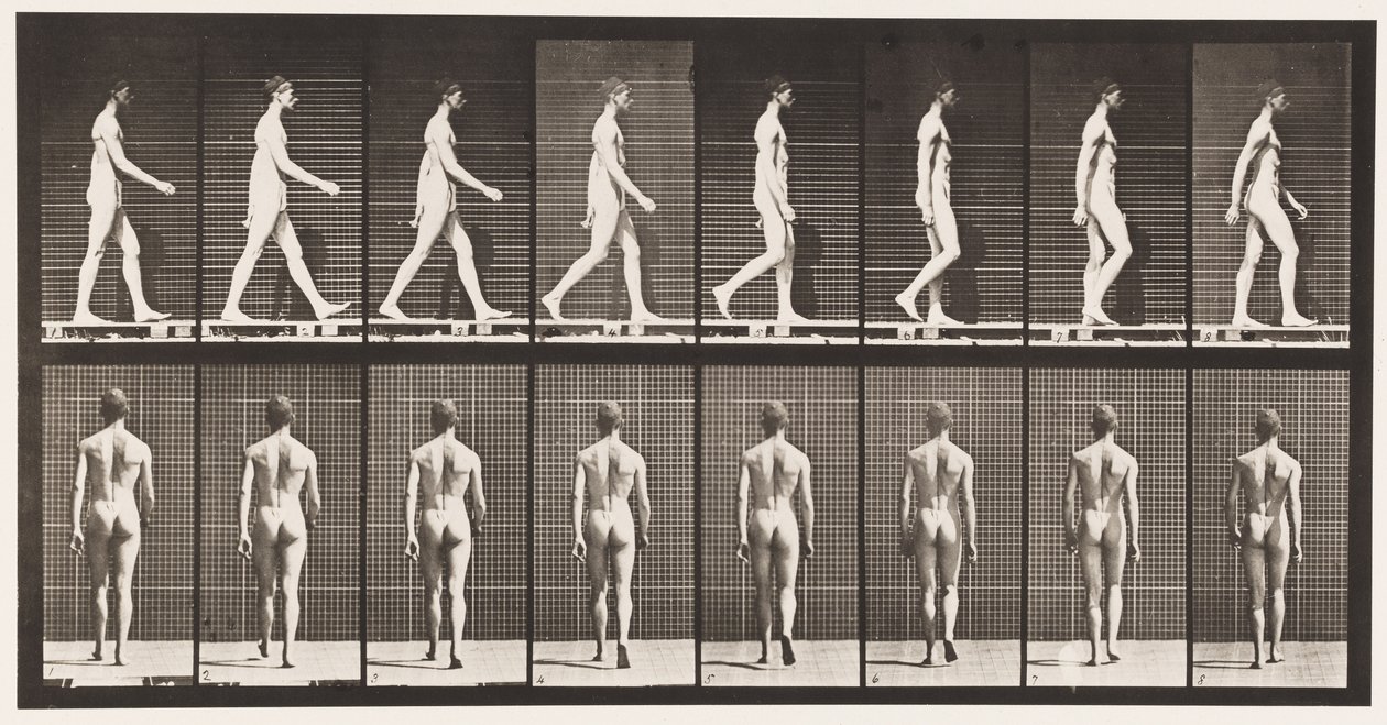 Plåt 8. Promenader av Eadweard Muybridge