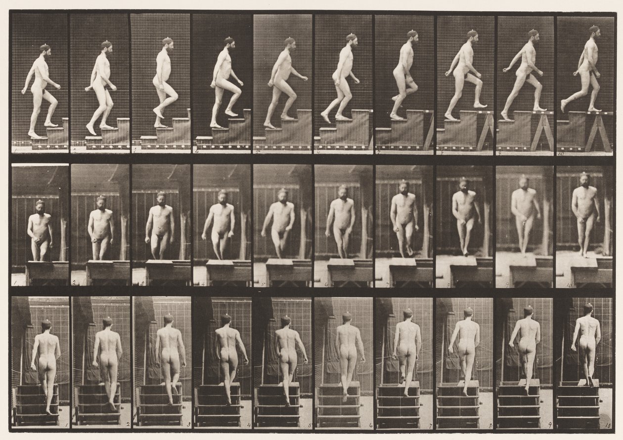 Tavla 90. Uppåtgående trappa av Eadweard Muybridge