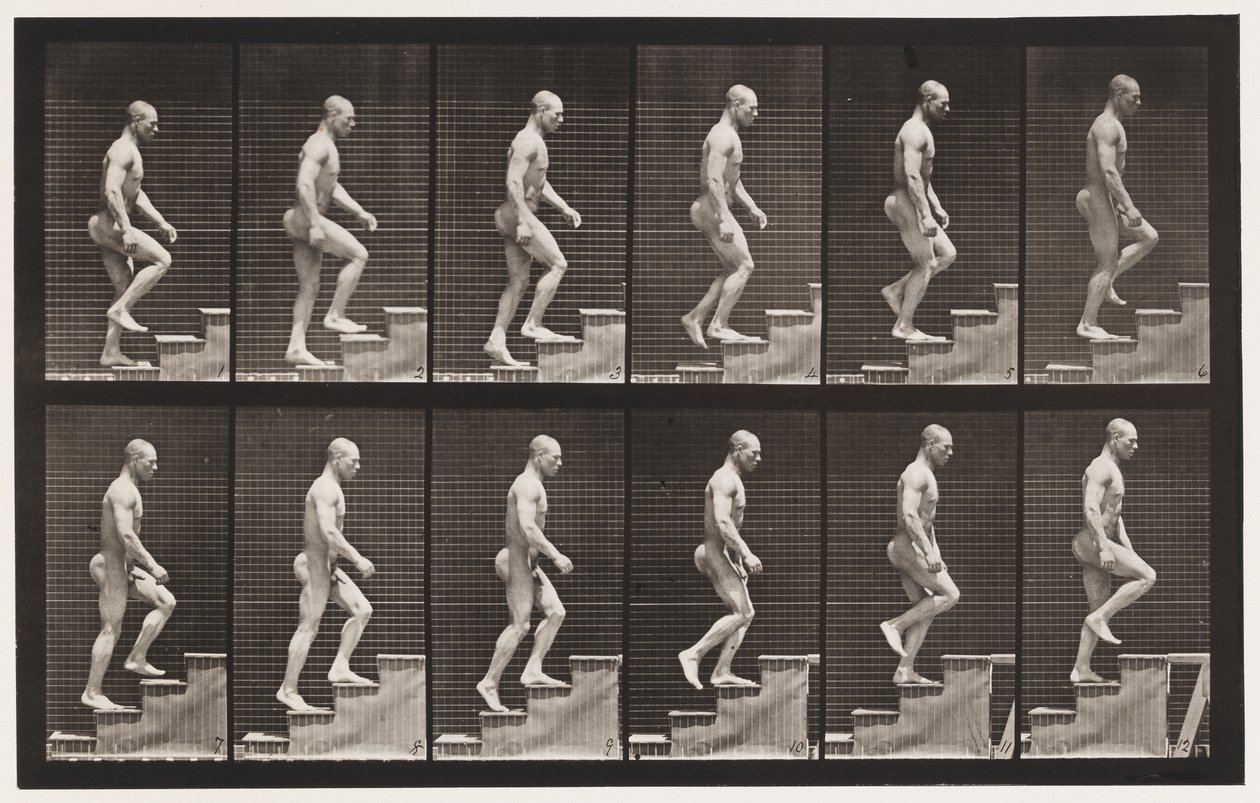 Tavla 91. Uppstigningstrappa av Eadweard Muybridge