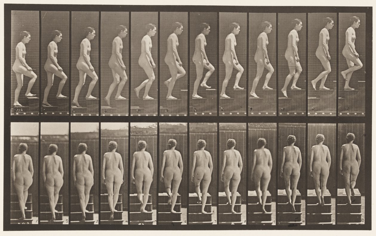 Tavla 92. Uppstigningstrappa av Eadweard Muybridge
