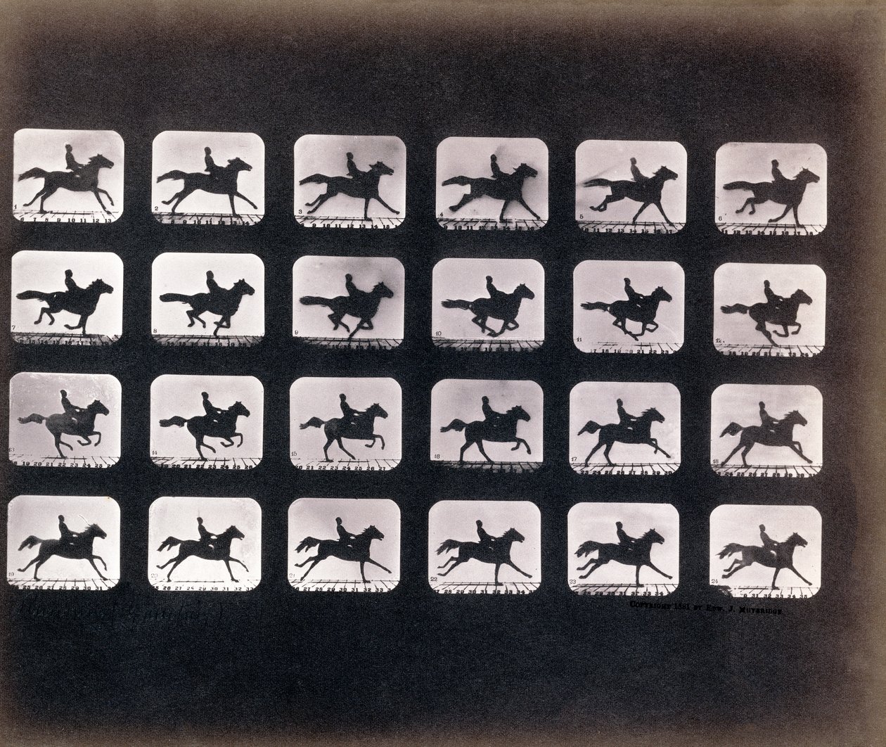Running (Galloping) av Eadweard J. Muybridge av Eadweard Muybridge