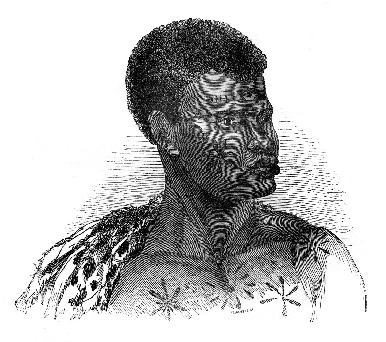 Infödd i Moçambique, 1848. av Ebenezer Landells