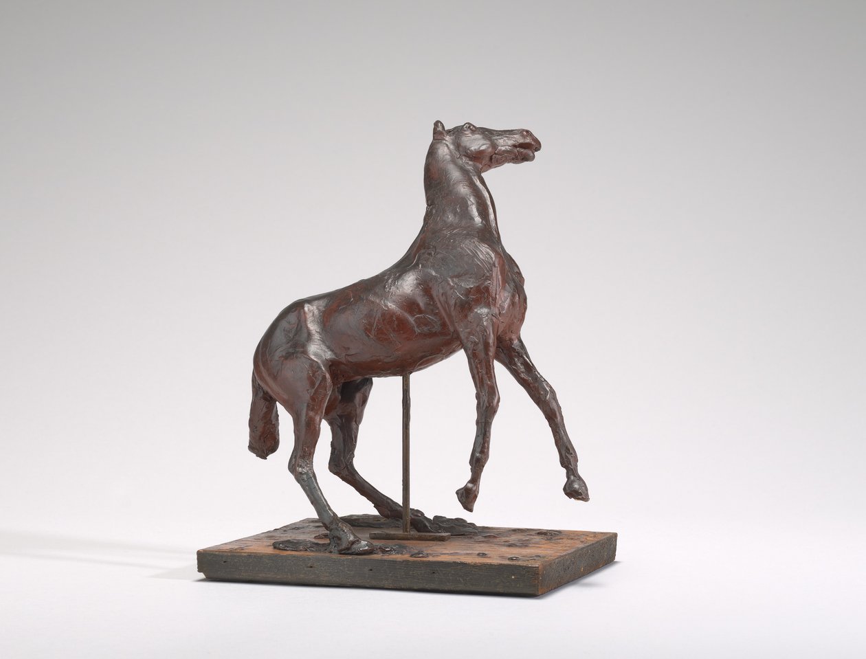 Hästuppfödning, 1880-tal. av Edgar Degas
