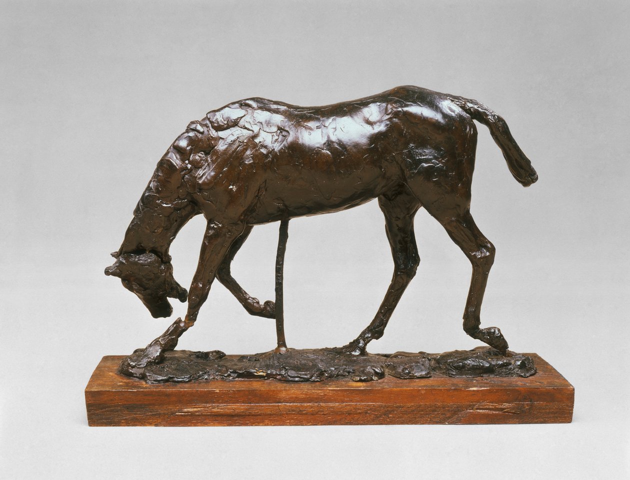 Häst med sänkt huvud av Edgar Degas