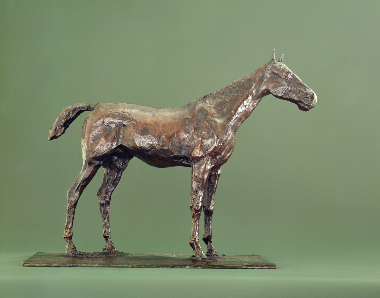 Farasi Amesimama (shaba)swed av Edgar Degas