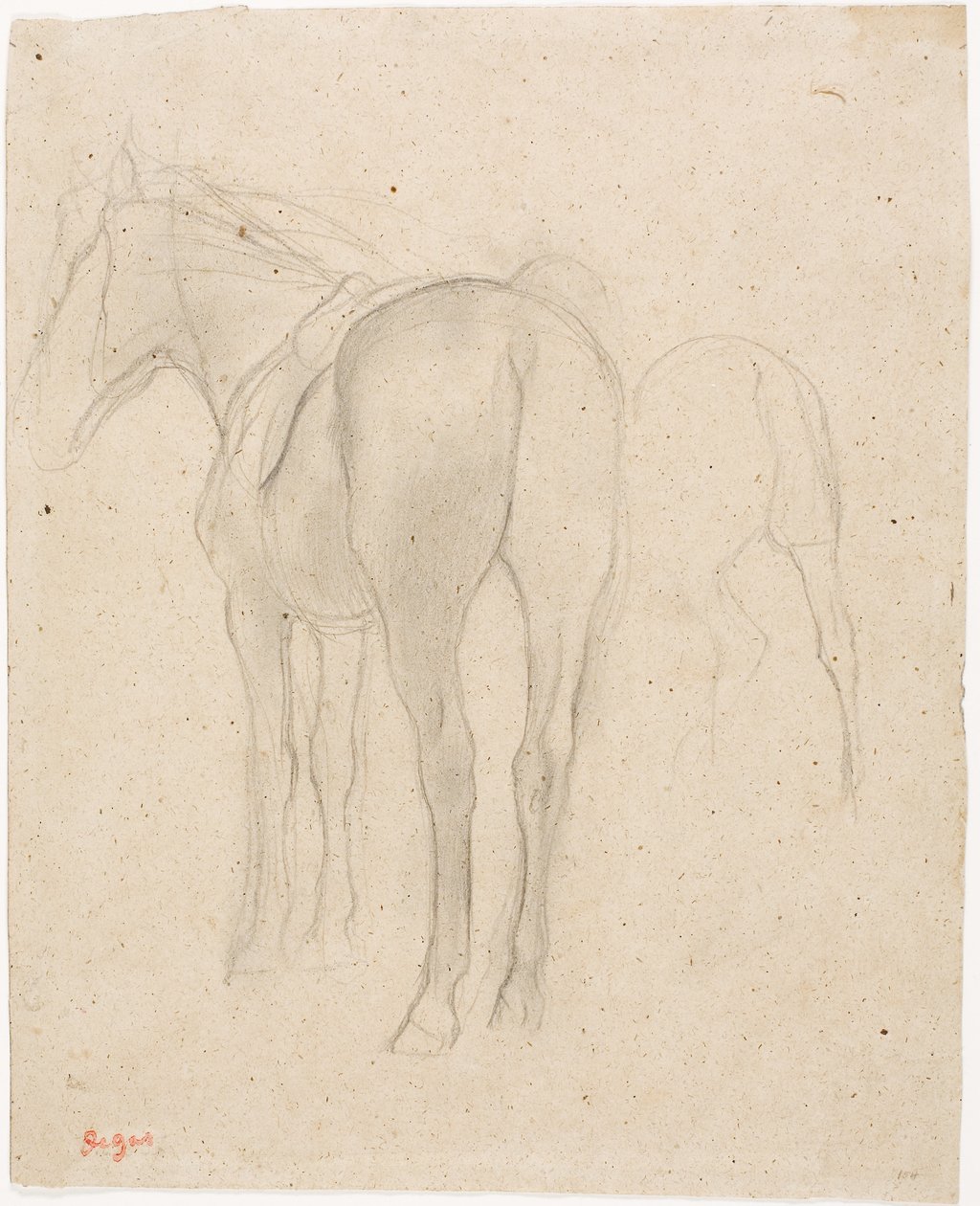 Studier av en häst av Edgar Degas