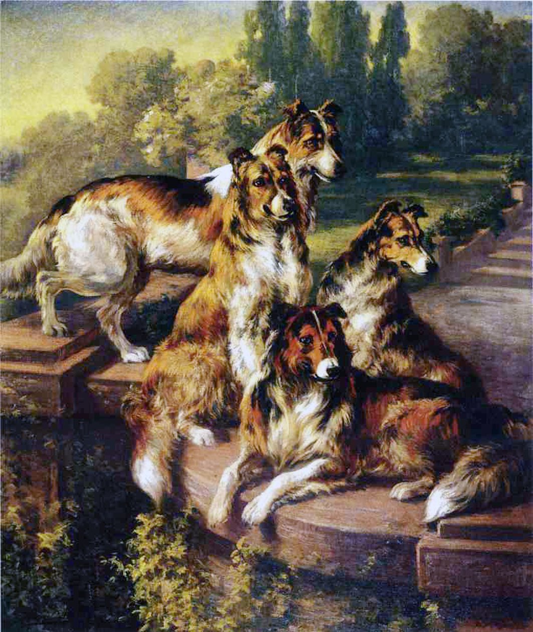 Collies av Edmund Henry Osthaus