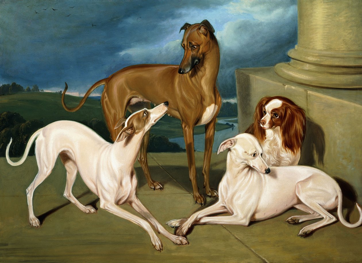 Whippets och en King Spaniel, 1837 av Edmund Jr Havell