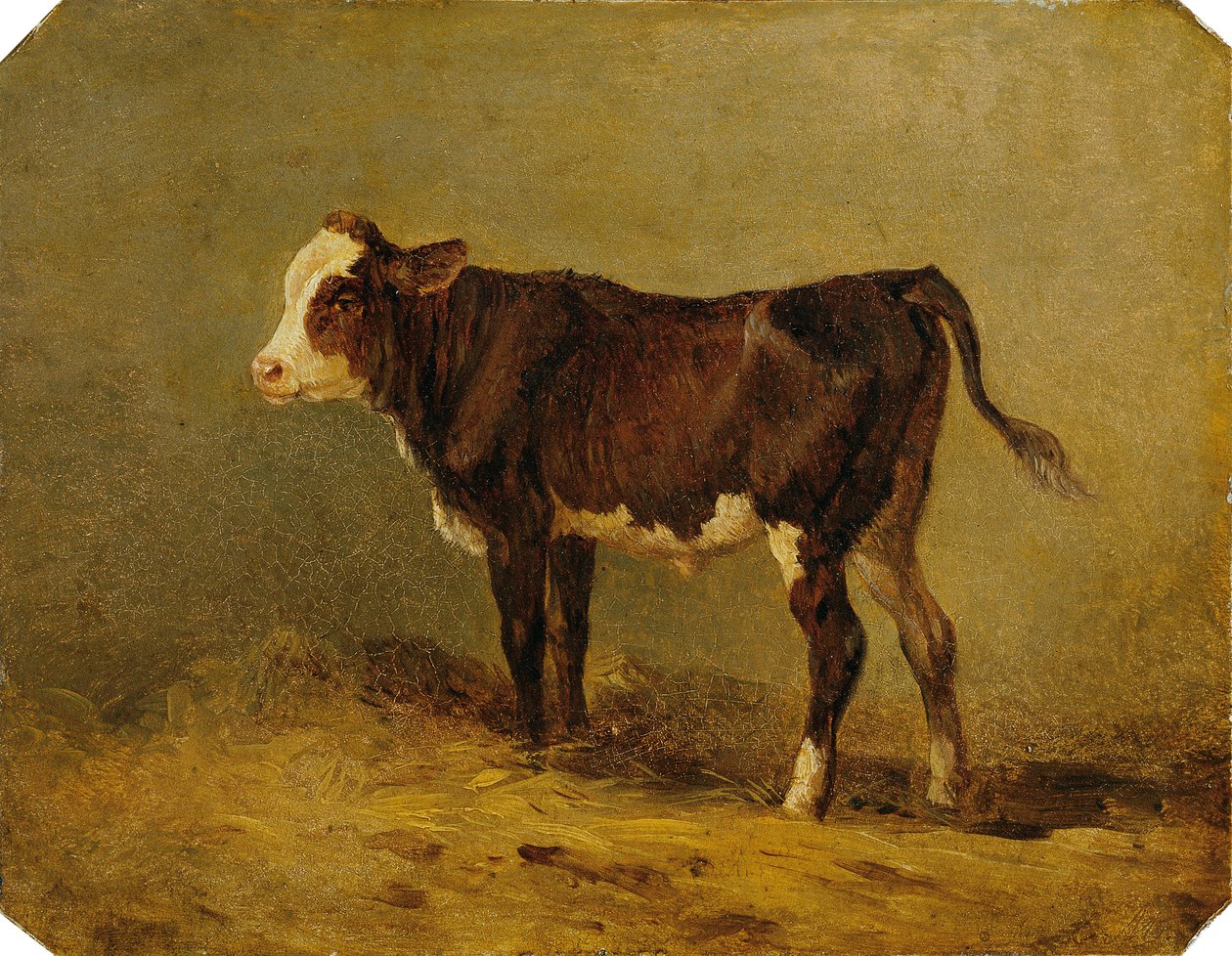kalv av Edmund Mahlknecht