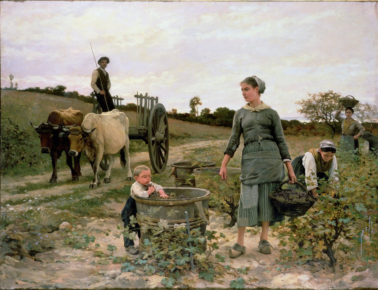 Corner of a Vineyard, Languedoc, 1886 av Edouard Debat Ponsan