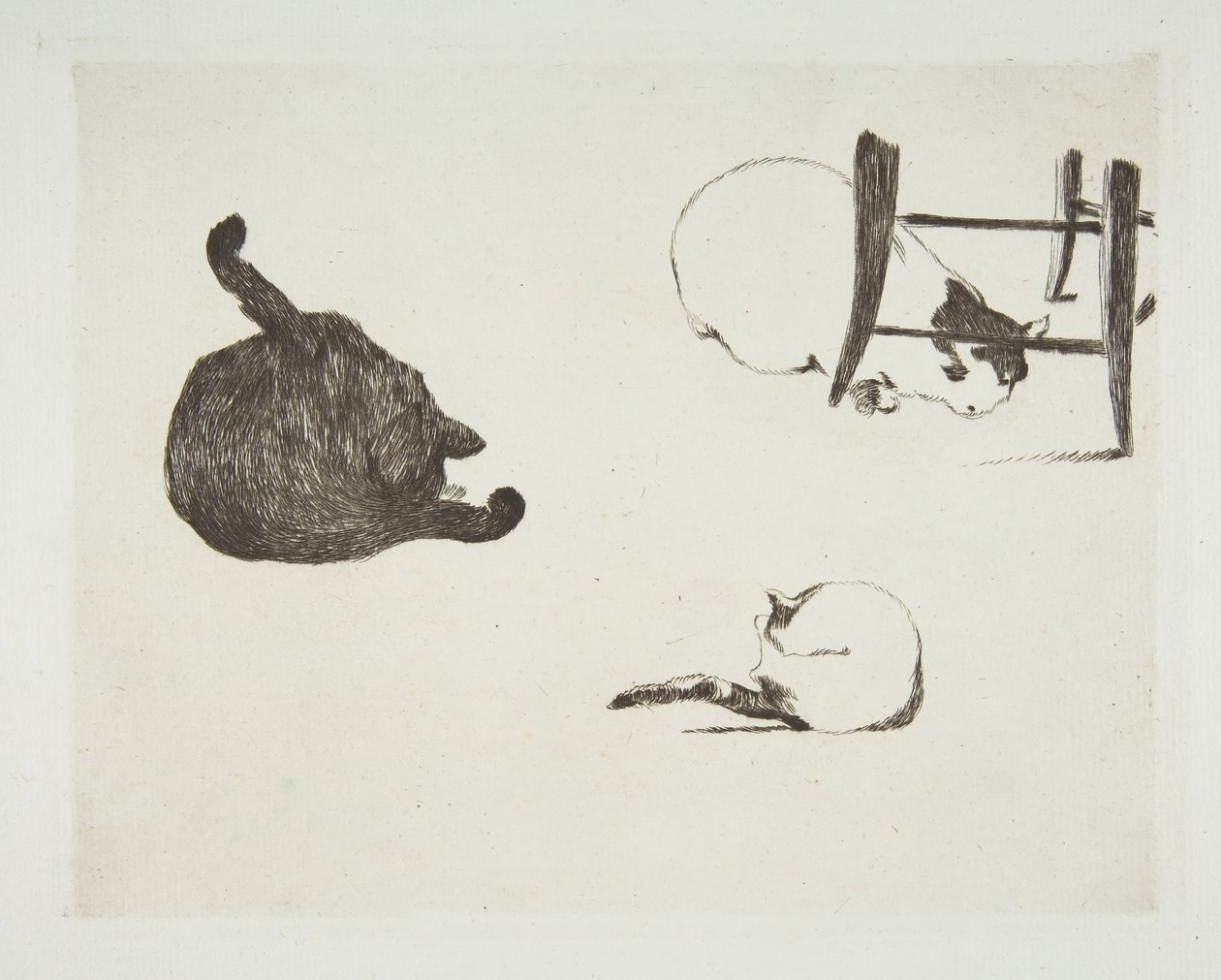Katter, 1868-69. av Édouard Manet