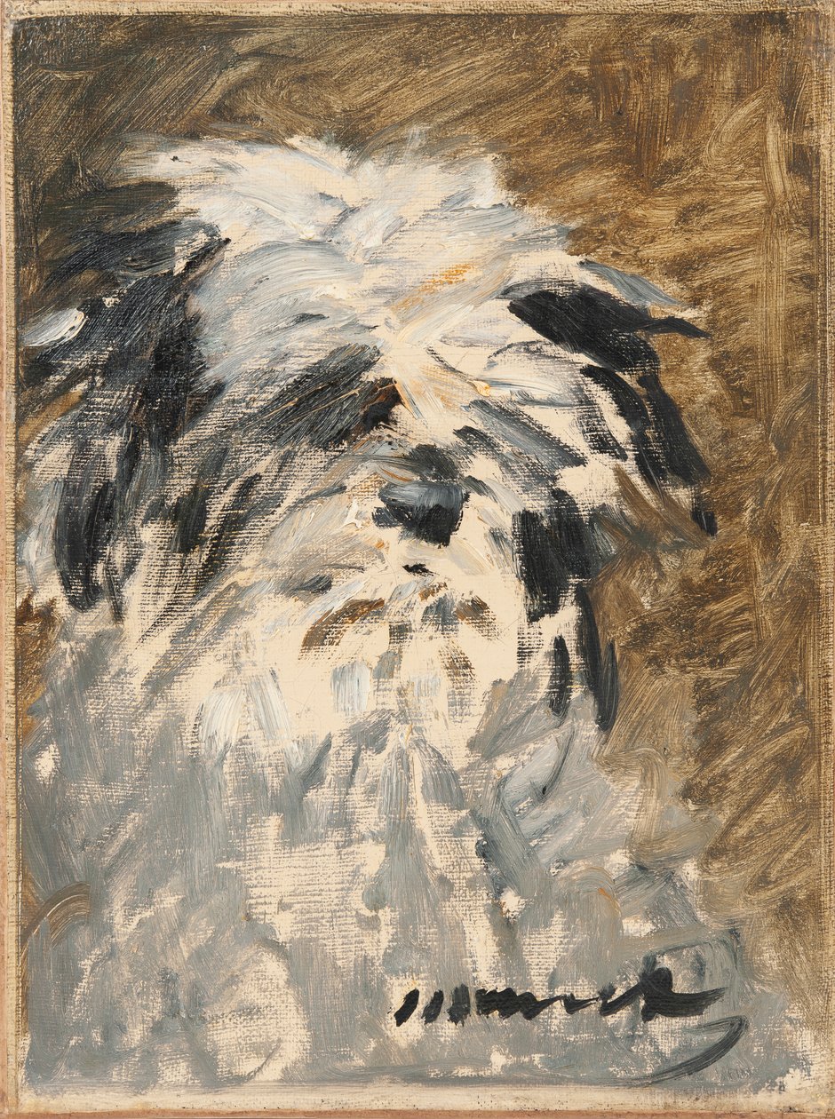 Franska:  Minnay Minnay av Édouard Manet