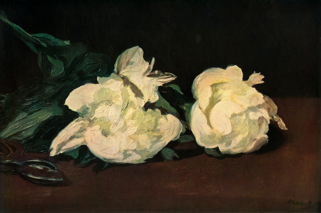 Vita pioner, 1864, 1937. av Édouard Manet