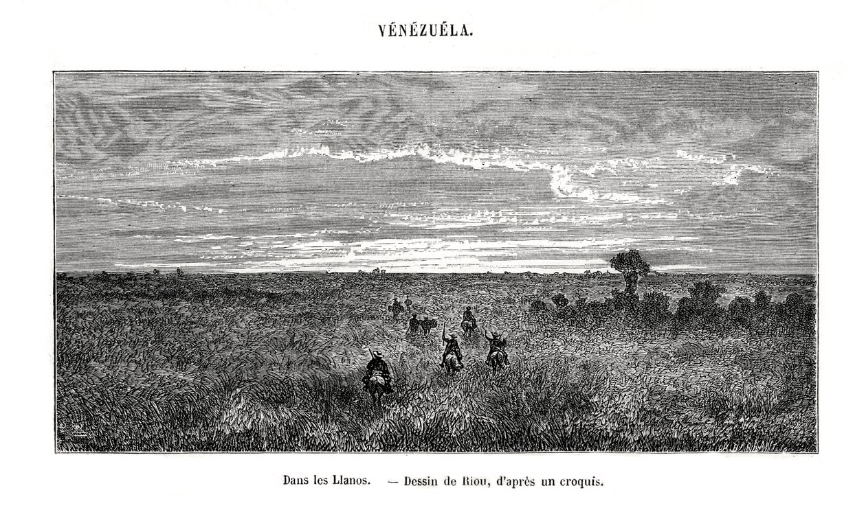 Los Llanos, Venezuela, 1800-talet av Edouard Riou