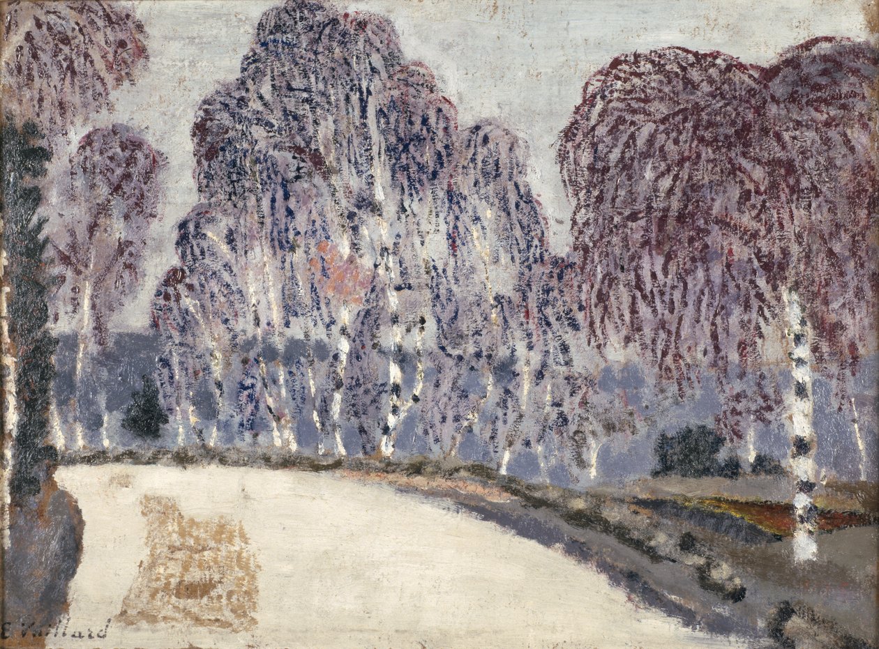 Björkar i LEtang-a-la-Ville, 1896 (olja på kartong) av Edouard Vuillard