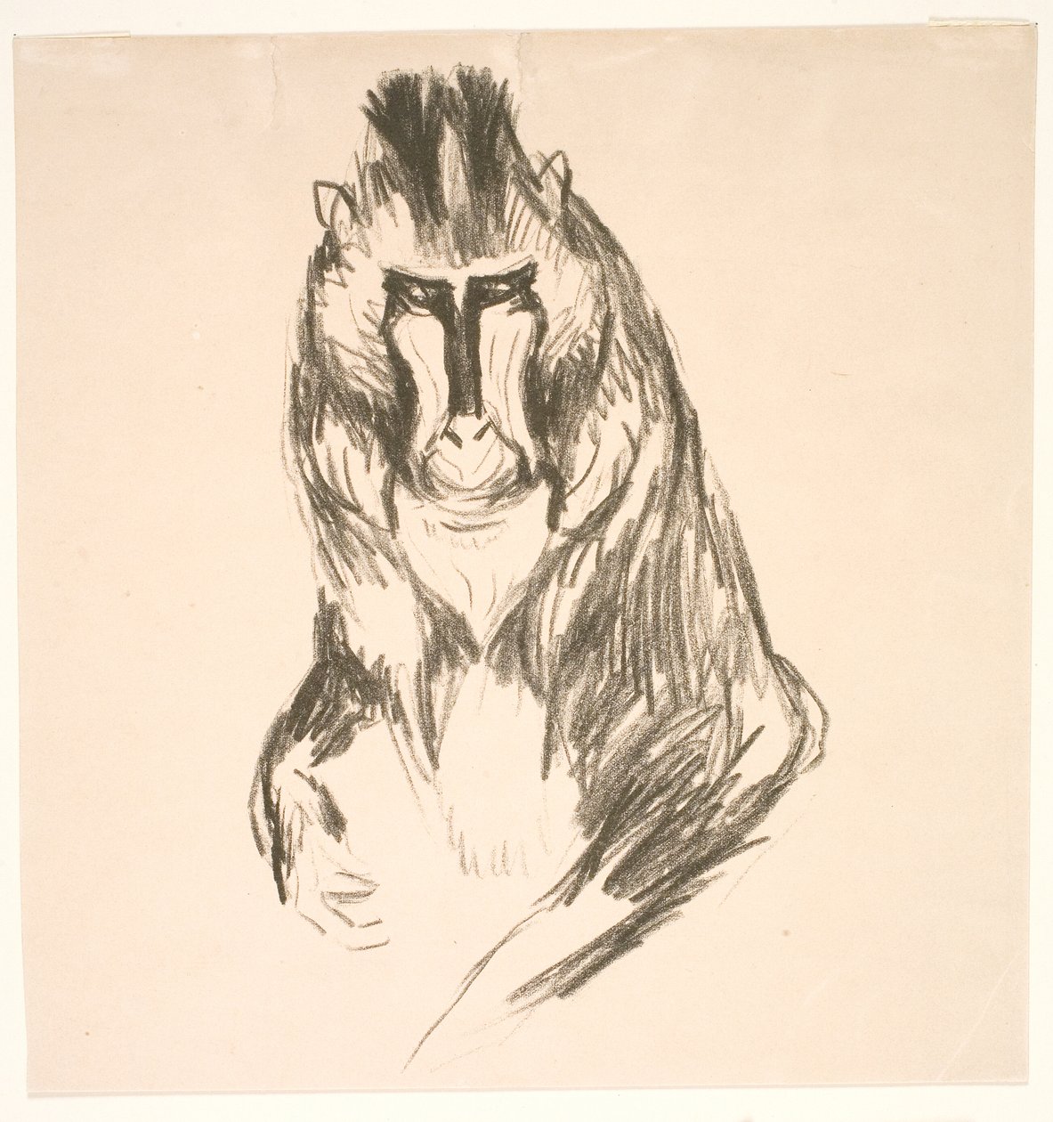 Gorilla (fastlandet) av Edvard Munch