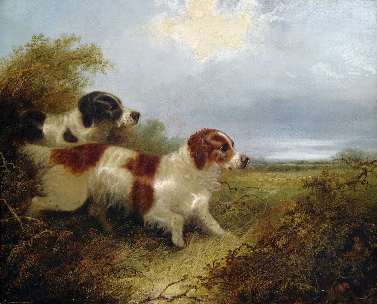 Två Terrier av Edward Armfield