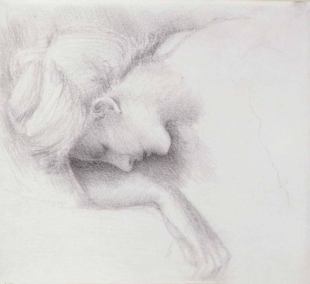 Trädgårdsgården - studie för Briar Rose-serien, 1888 (svart krita på papper) av Edward Burne Jones