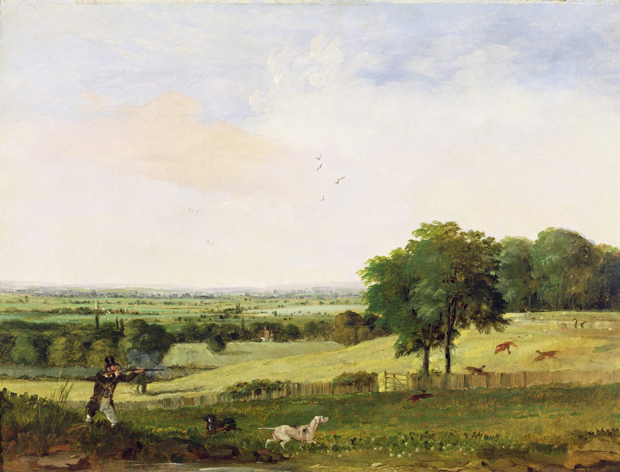 Partridge Risasi (mafuta kwenye kinu)swed av Edward Duncan
