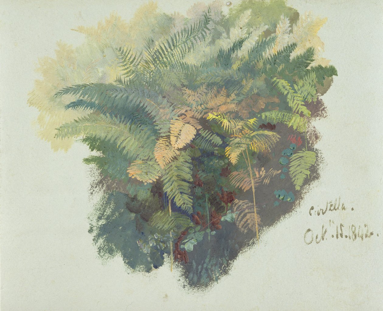 A Study of Ferns, Citivella, 1842, (olja på grått vävt papper) av Edward Lear