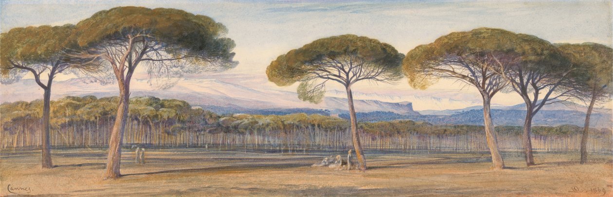 En vy över tallskogen ovanför Cannes av Edward Lear
