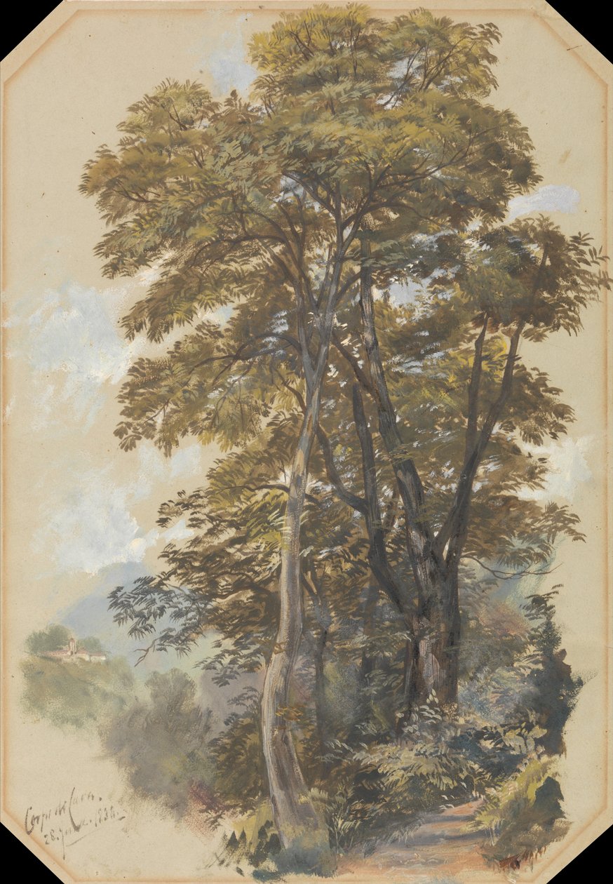 Cava Corps, 28 juni 1838 av Edward Lear