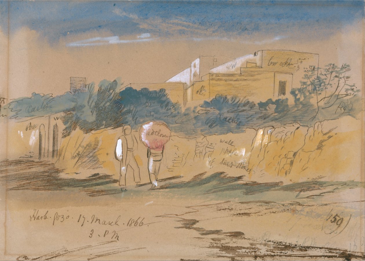 Harb. Gozo av Edward Lear