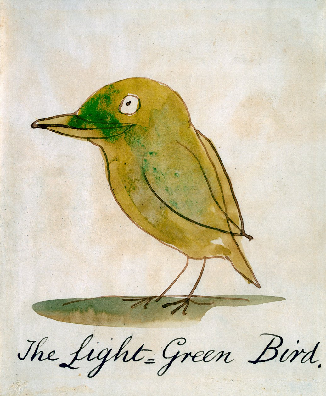 The Light Green Bird, från "Sexteen Drawings of Comic Birds" (penna och bläck wc på papper) av Edward Lear