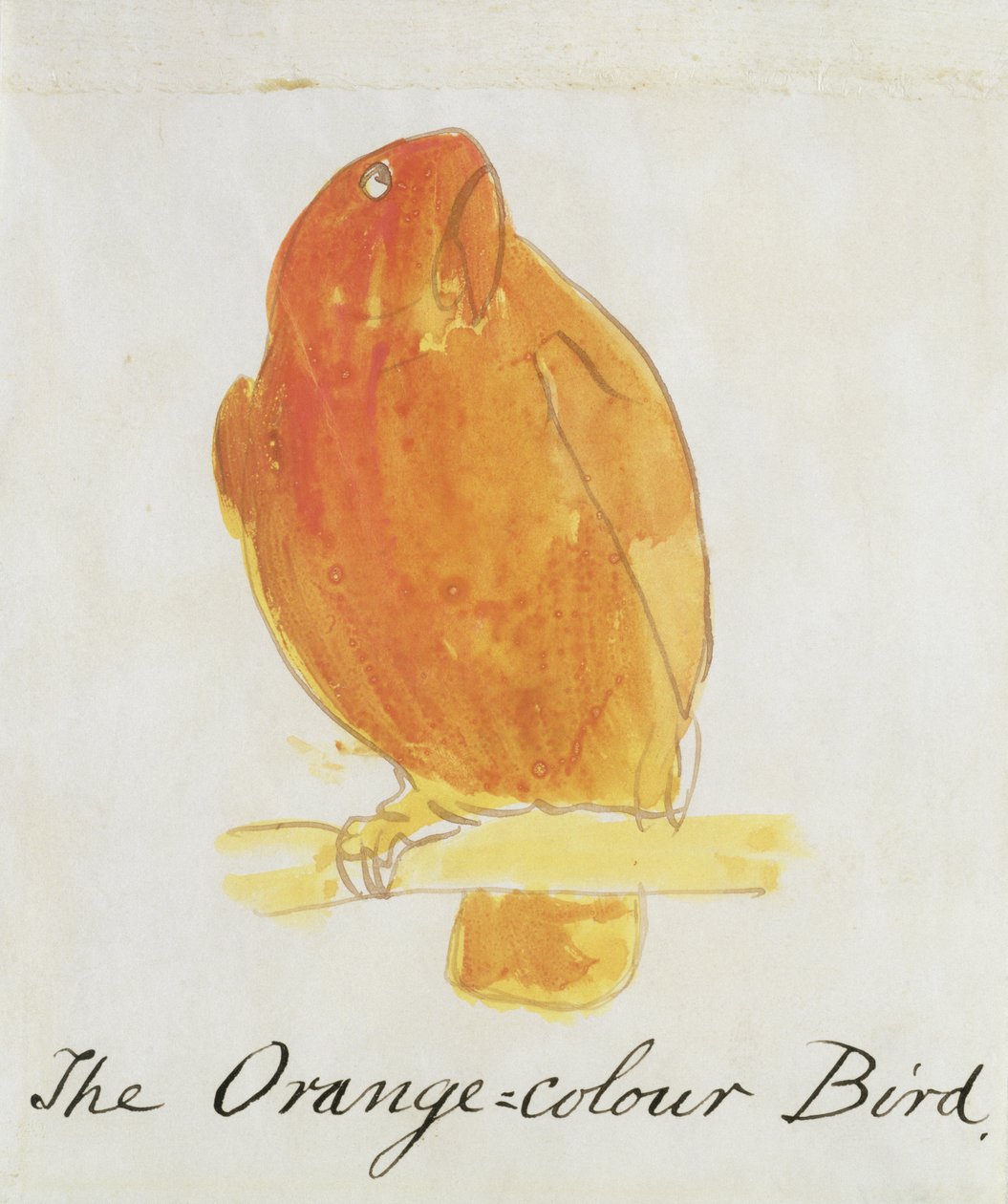 The Orange Color Bird, från "Sexteen Drawings of Comic Birds" (penna och bläck och wc på papper) av Edward Lear