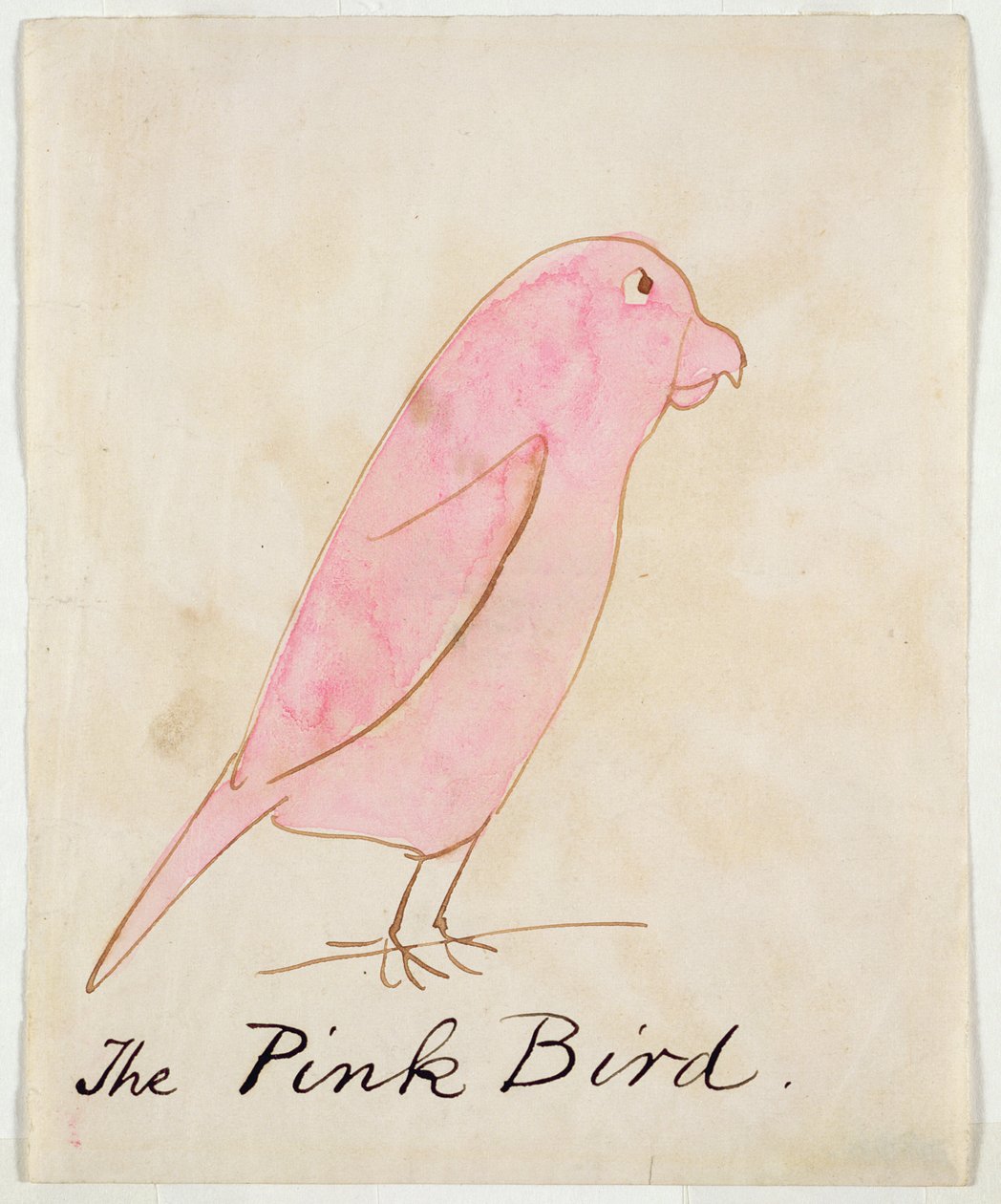 The Pink Bird, från "Sexteen Drawings of Comic Birds" (penna och bläck och wc på papper) av Edward Lear