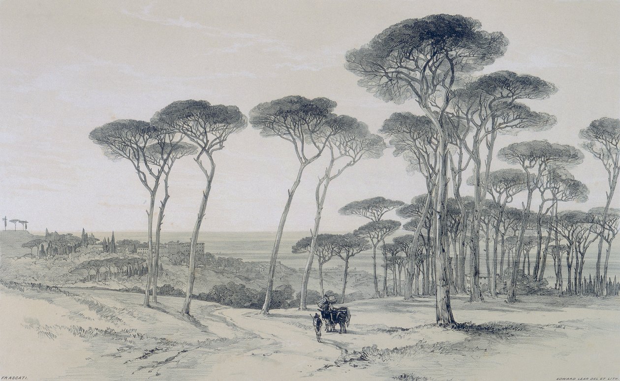 Utsikt i Rom och dess omgivningar: utsikt över Frascati från Villa Mondragone av Edward Lear