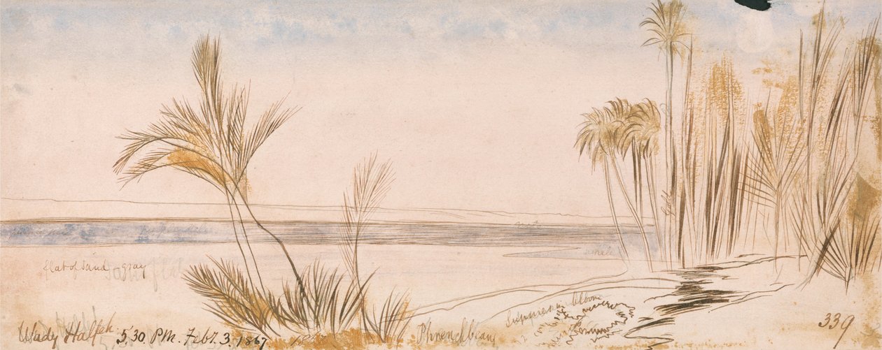 Halfeh nackdelar av Edward Lear