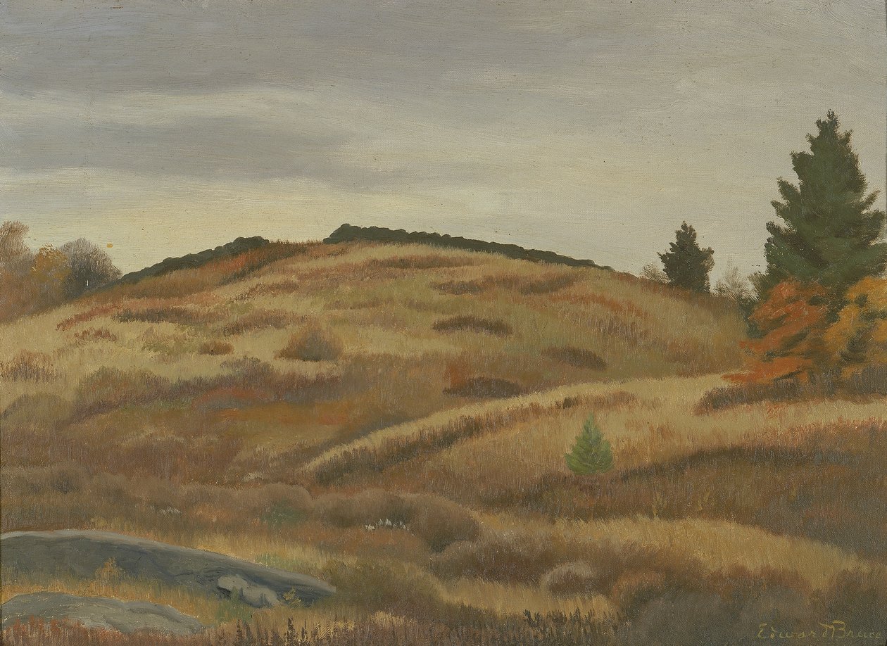 Autumn Fields, ca. 1926-1934. av Edward Bruce