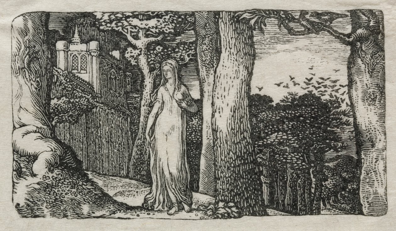 The Lady and the Rooks av Edward Calvert