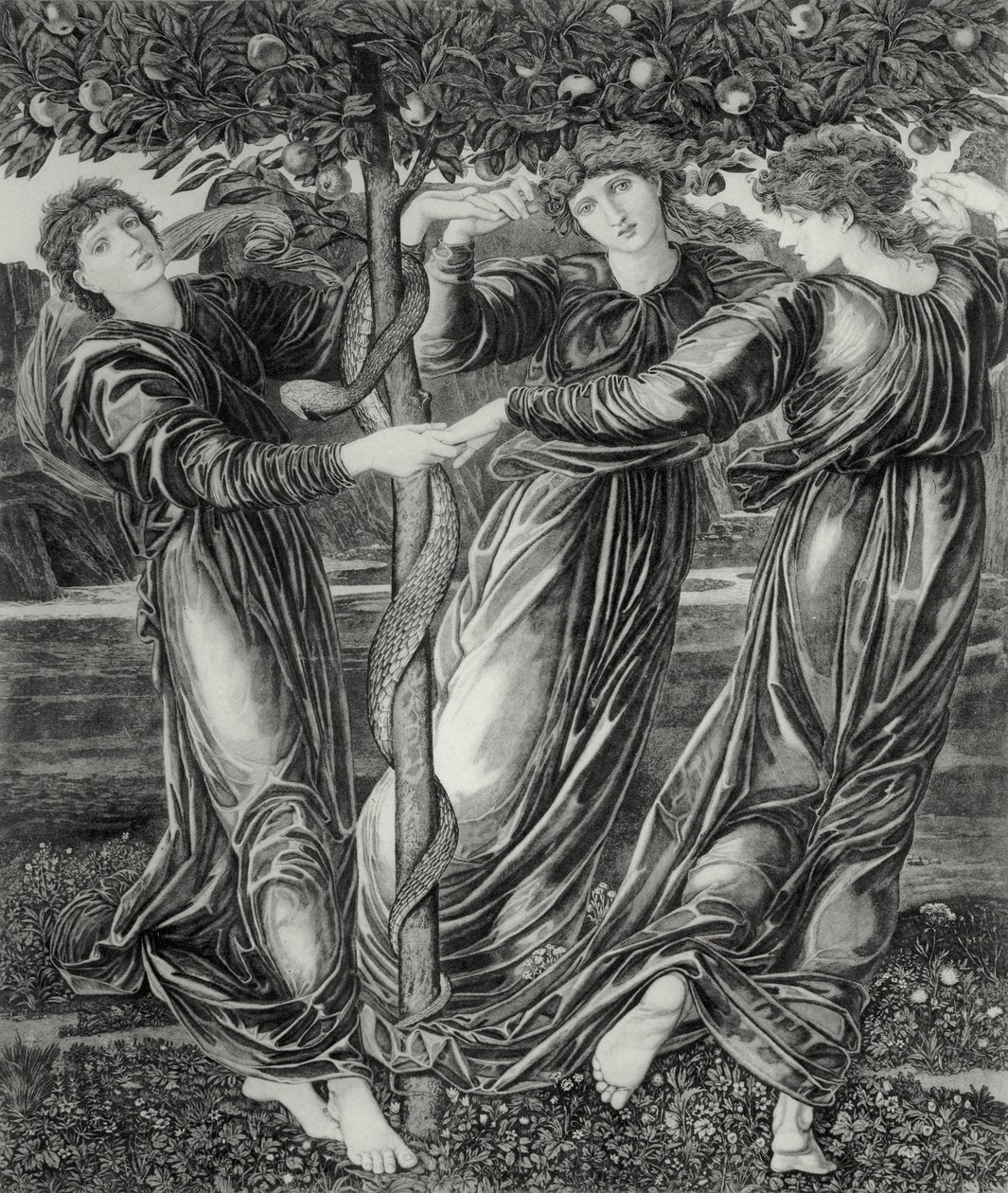 Hesperides trädgård av Edward Coley (after) Burne Jones