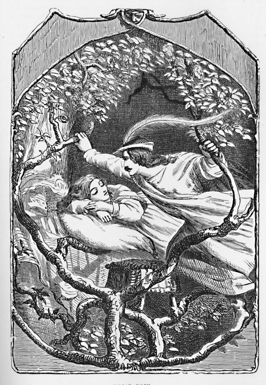 Briar Rose, 1901 av Edward Henry Wehnert