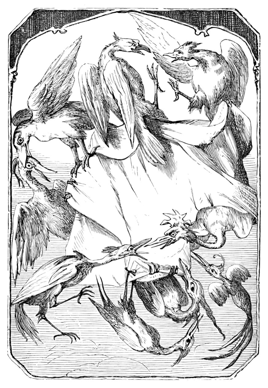 Åsnekålen, 1901 av Edward Henry Wehnert